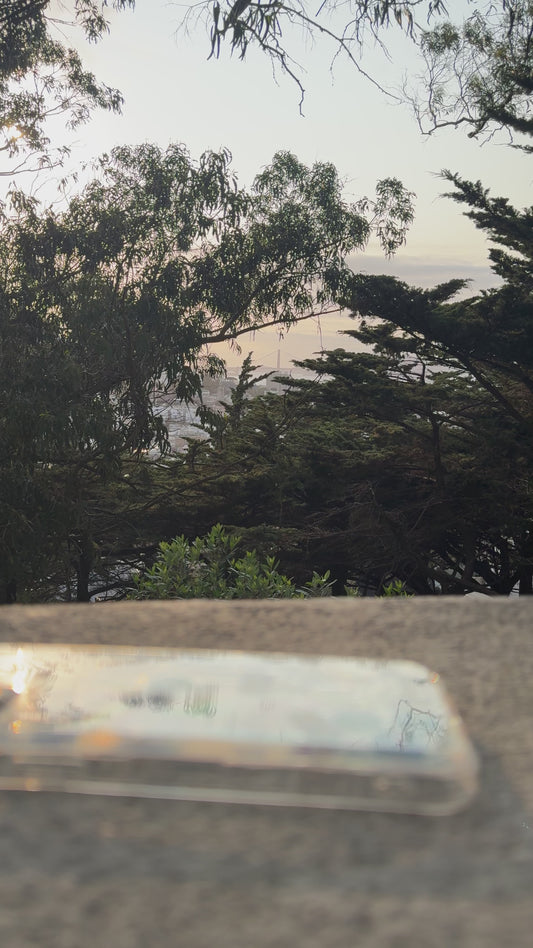 Limited Edition - San Francisco Dreaming iPhone Case